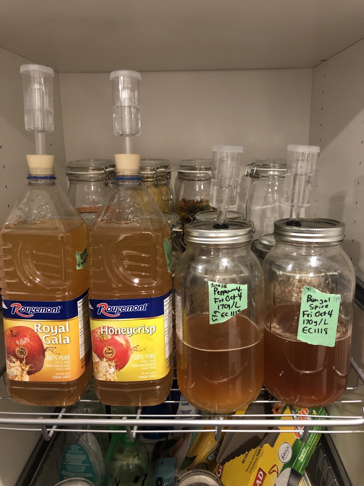Two kinds of fermented apple juice 10pm.ca Tidbits for the